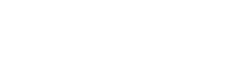 Rev.io